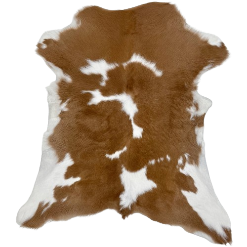 Brown and White Calfskin: brown with large and small, white spots, and white on the belly and part of the shanks - 3' x 2'7" (CALF758)