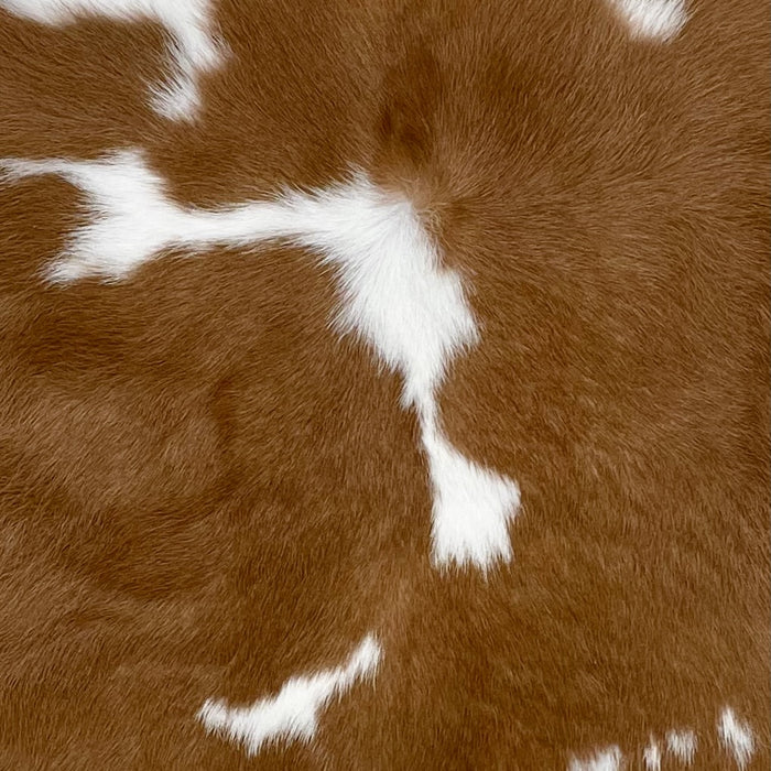 Closeup of this Calfskin, showing brown with large and small, white spots (CALF758)