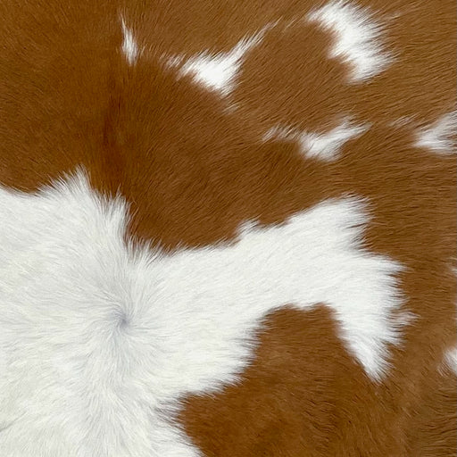 Closeup of this Calfskin, showing white with large and small, brown spots (CALF759)