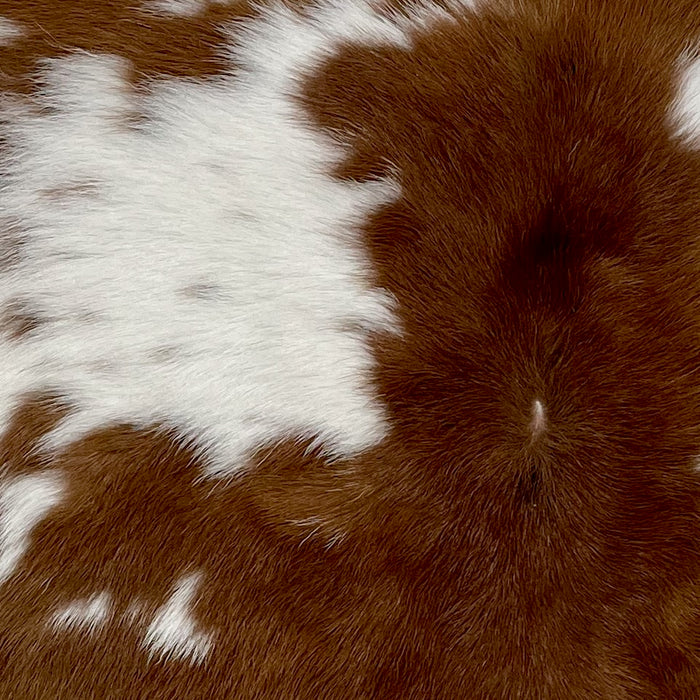 Closeup of this Speckled Calfskin, showing white with brown spots and speckles  (CALF762)