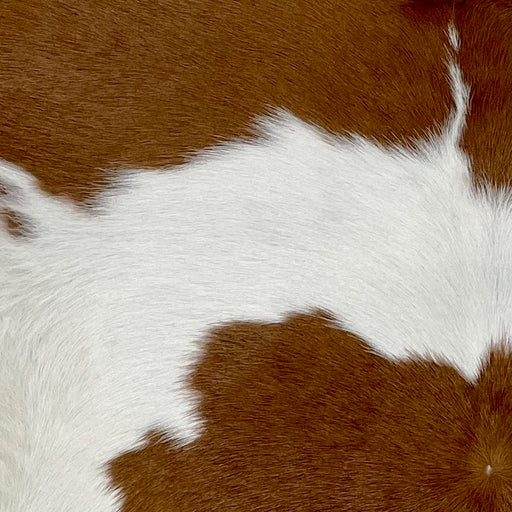 Closeup of this Calfskin, showing white with large, brown spots (CALF765)