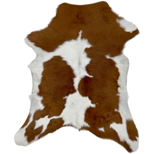 Brown and White Calfskin: white with large and small, brown spots - 3' x 2'6" (CALF766)