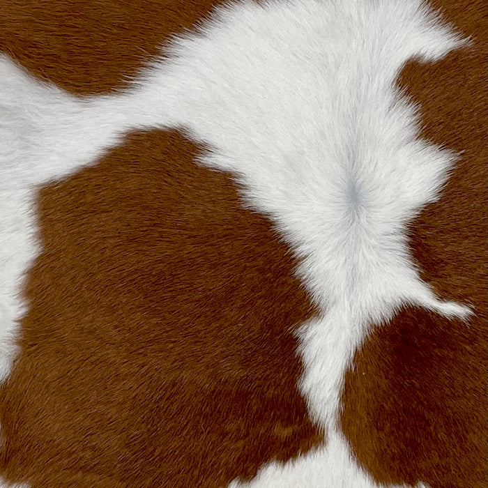 Closeup of this Calfskin, showing white with large and small, brown spots (CALF766)