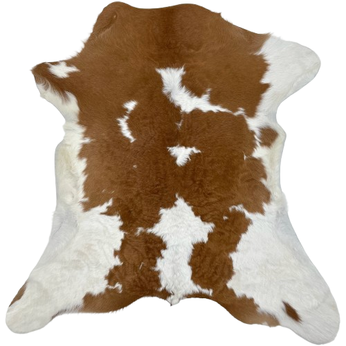 Brown and White Calfskin: white with large and small, brown spots, and white on the belly and part of the shanks - 3' x 2'10" (CALF767)