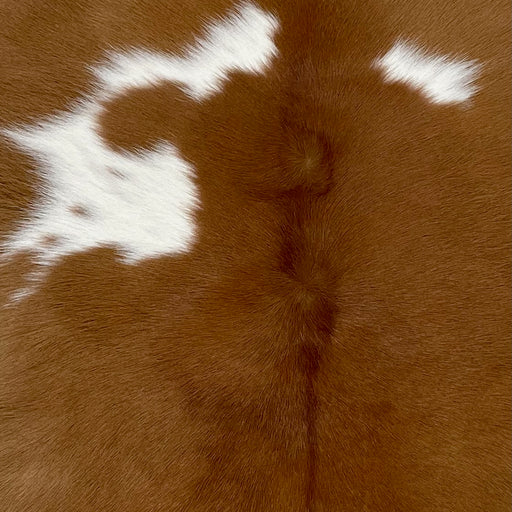 Closeup of this Calfskin, showing brown with a few white spots, some having brown speckles (CALF769)