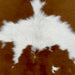 Closeup of this Calfskin, showing white with large and small, brown spots (CALF770)