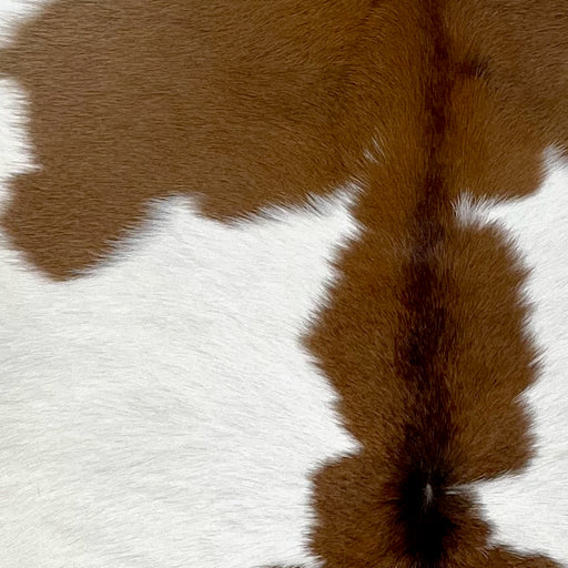 Closeup of this Calfskin, showing white with large and small, brown spots (CALF772)