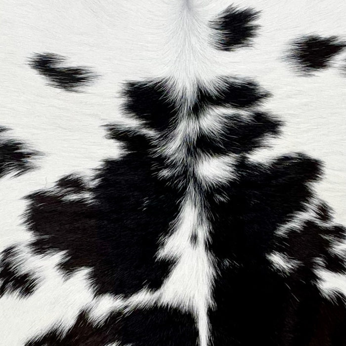 Closeup of this Calfskin, showing white with small, black spots (CALF775)