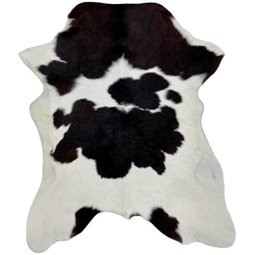 Black and White Calfskin: white with large and small, black spots, and it has hints of brown mixed in on the shoulder - 3' x 2'6" (CALF776)