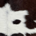 Closeup of this Calfskin, showing white with large and small, dark brown spots (CALF779)