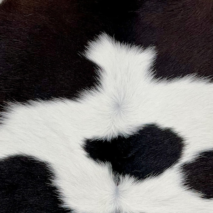 Closeup of this Calfskin, showing white with blackish brown spots (CALF782)