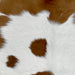 Closeup of this Calfskin, showing white with large and small, brown spots (CALF785)