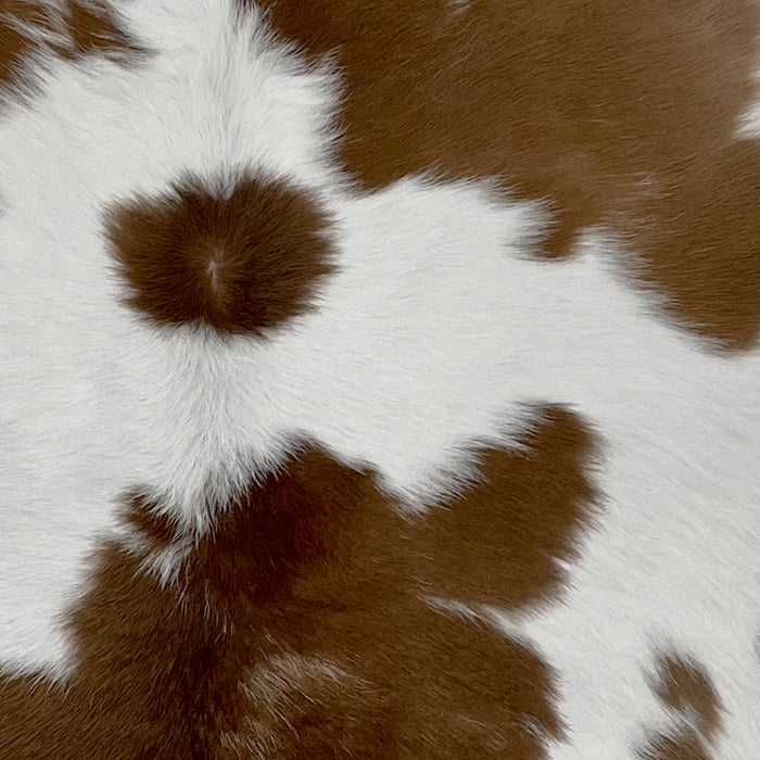 Closeup of this Calfskin, showing white with large and small, brown spots (CALF786)