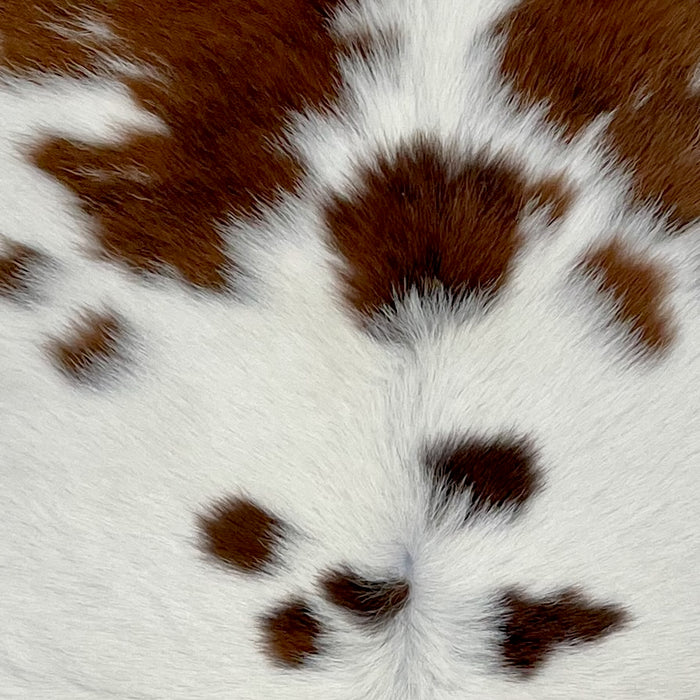 Closeup of this Calfskin, showing white and off-white with dark reddish brown spots (CALF788)