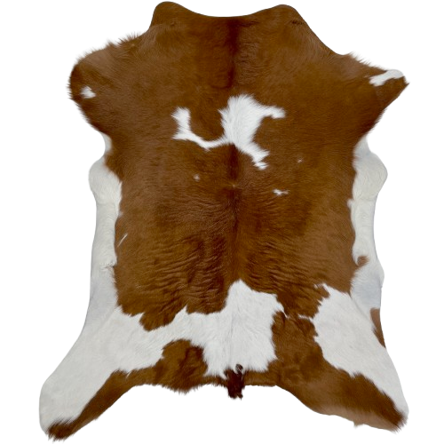 Brown and White Calfskin: brown with small and large, white spots, and white on the belly and part of the hind shanks - 3'5" x 2'11" (CALF789)