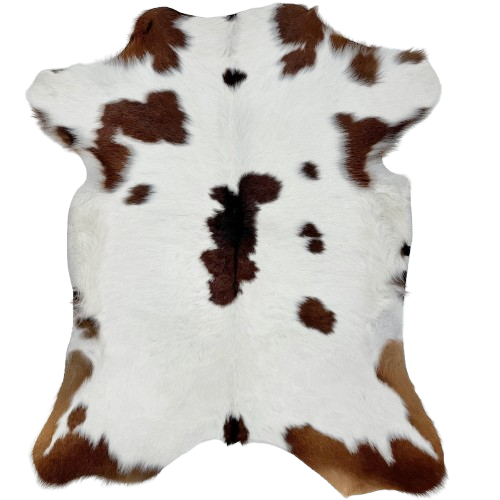 White and Dark Brown Calfskin: white with small, dark brown and blackish brown spots, and it has lighter brown spots on the hind shanks and butt - 3'4" x 2'10" (CALF792)