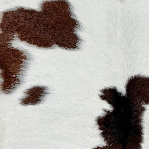 Closeup of this Calfskin, showing white with small, dark brown and blackish brown spots (CALF792)