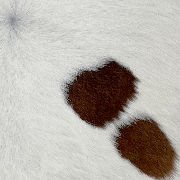 Closeup of this Calfskin, showing white, and two dark brown spots (CALF793)