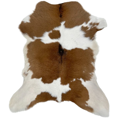 Brown and White Calfskin: white and off-white with large and small, brown spots, and black on part of the spine - 2'10" x 2'6" (CALF794)