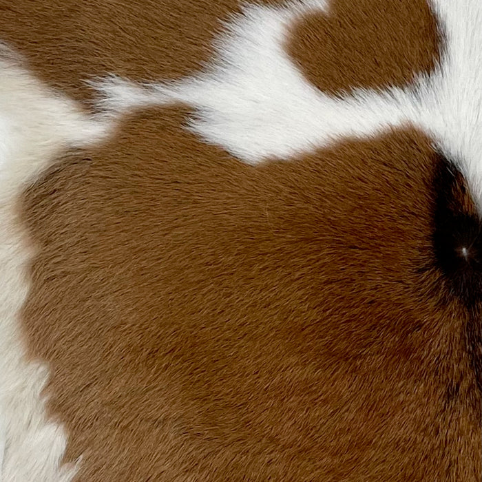 Closeup of this Calfskin, showing white and off-white with large and small, brown spots, and black on part of the spine (CALF794)