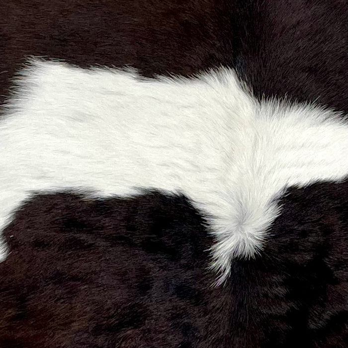 Closeup of this Calfskin, showing white with large, dark brown spots (CALF796)