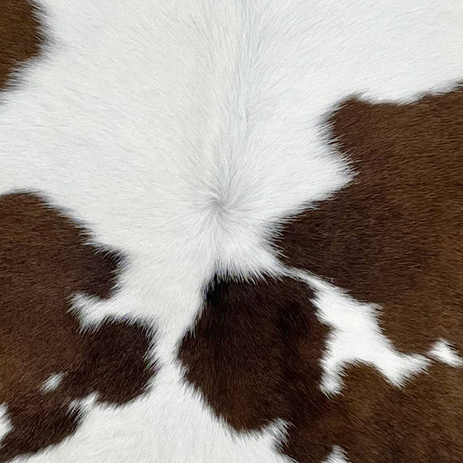 closeup of this Calfskin, showing white with small and large, chocolate spots  (CALF806)