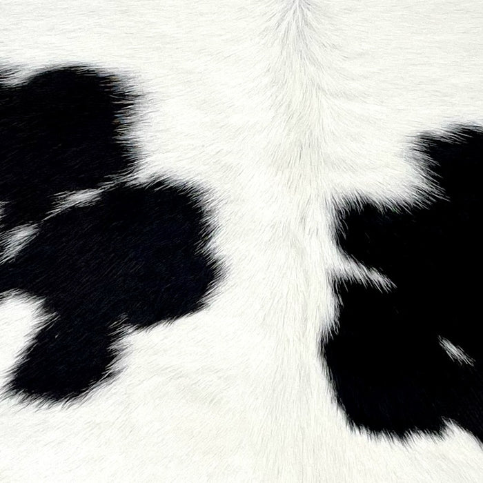 Closeup of this Calfskin, showing white with small and large, black spots  (CALF810)