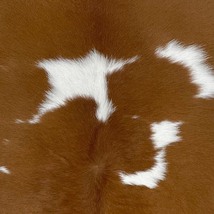 closeup of this Calfskin, showing brown with small, white spots (CALF827)