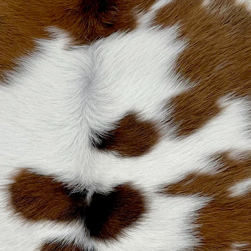 closeup of this Calfskin, showing white with large and small, brown spots, some having a touch of black  (CALF828)