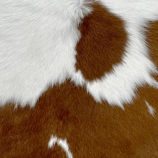 closeup of this Calfskin, showing white with large and small, brown spots  (CALF829)
