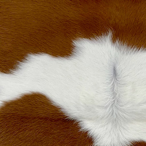 closeup of this Calfskin, showing white with large, brown spots (CALF832)