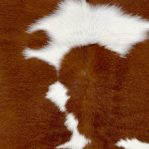 Closeup of this Calfskin, showing brown with large and small, white spots  (CALF840)