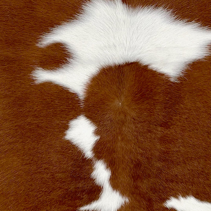 Closeup of this Calfskin, showing brown with large and small, white spots  (CALF840)