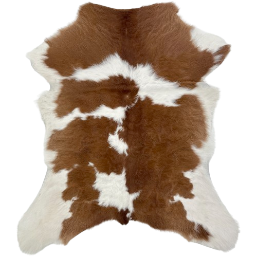 Brown and White Calfskin: white with large, brown spots - 2'10" x 2'7" (CALF841)