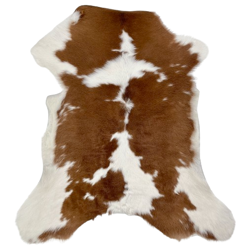 Brown and White Calfskin: white with large, brown spots - 3'4" x 2'6" (CALF843)