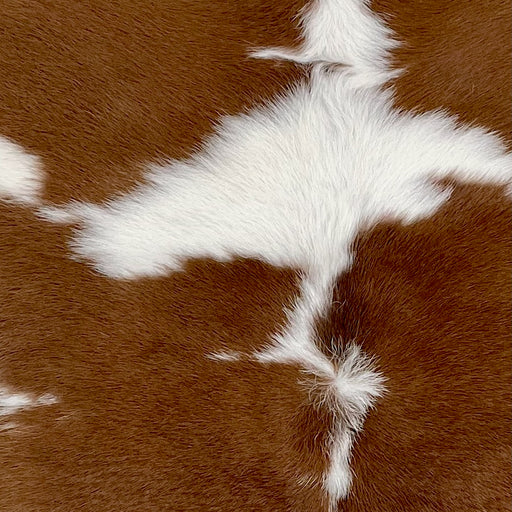 Closeup of this Calfskin, showing white with large, brown spots  (CALF843)