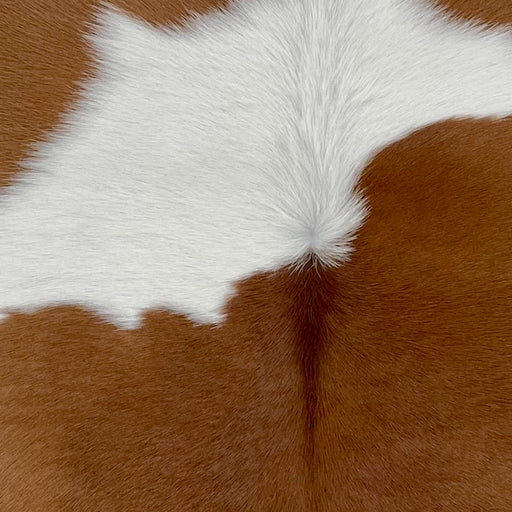 Closeup of this Calfskin, showing white with large, brown spots (CALF844)