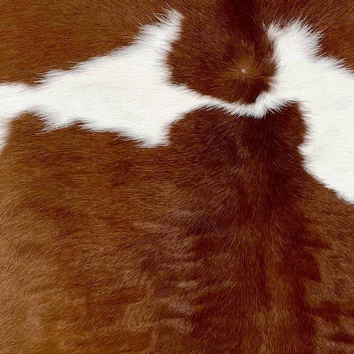 Closeup of this Calfskin, showing white and brown spots (CALF845)