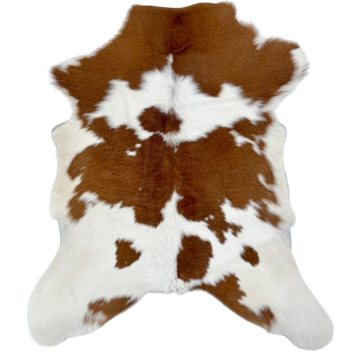Brown and White Calfskin: white with large and small, brown spots, and off-white on the belly - 2'11" x 2'4" (CALF847)