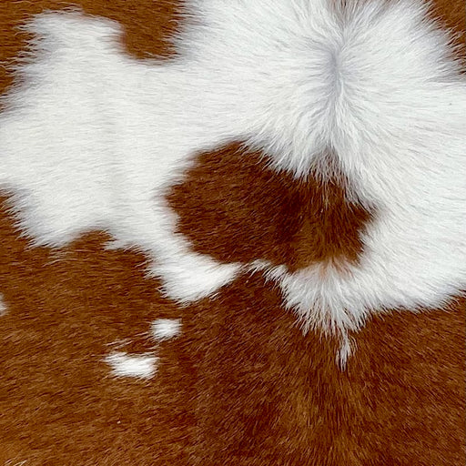 Closeup of this Calfskin, showing white with large and small, brown spots  (CALF847)