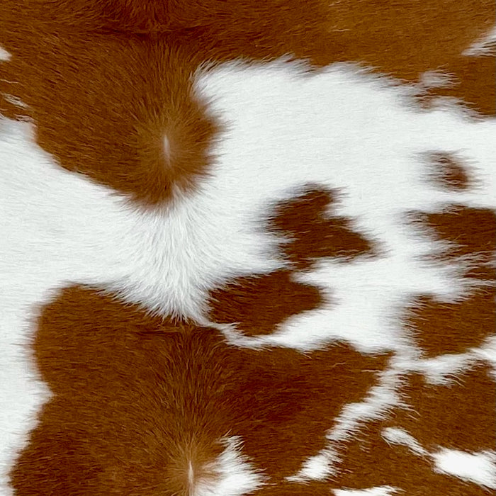 Closeup of this Calfskin, showing white with large and small, brown spots  (CALF848)