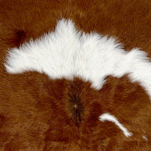 Closeup of this Calfskin, showing brown with a small and large, white spot  (CALF851)