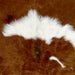 Closeup of this Calfskin, showing brown with a small and large, white spot  (CALF851)
