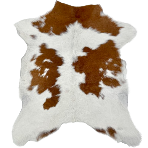 Brown and White Calfskin: white with brown spots - 2'10" x 2'5" (CALF852)