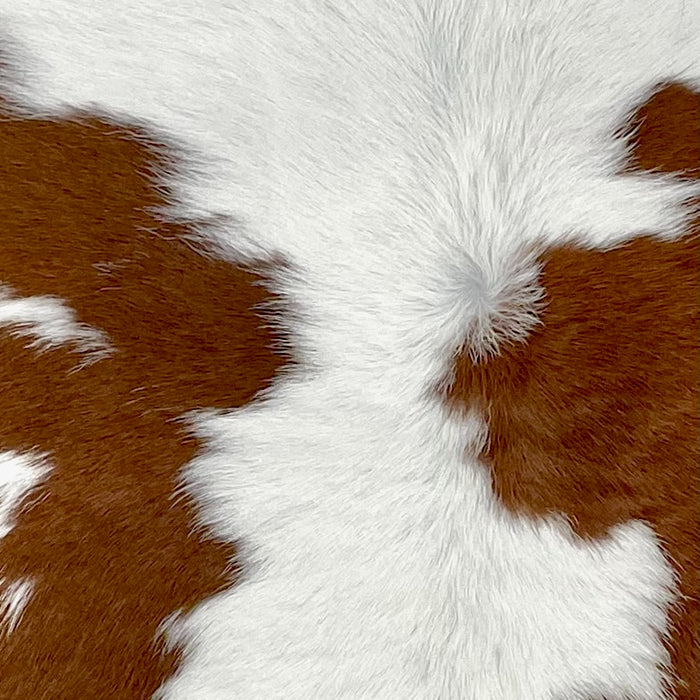 Closeup of this Calfskin, showing white with brown spots  (CALF852)