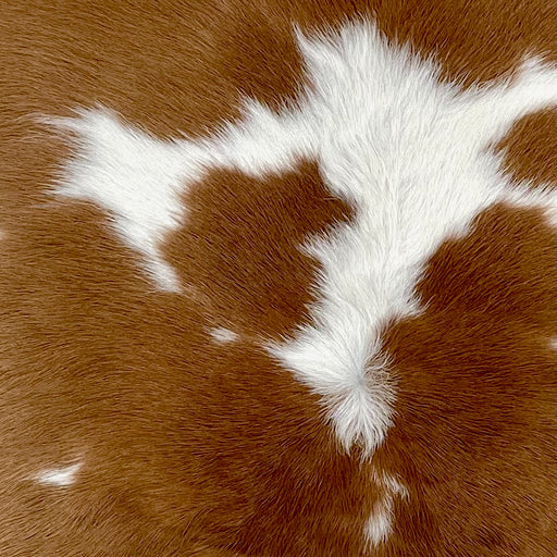 Closeup of this Calfskin, showing brown with small and large, white spots  (CALF853)