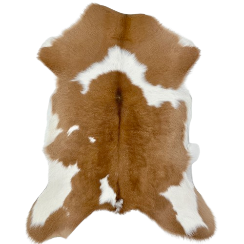 Caramel and White Calfskin: caramel with large and small, white spots - 2'10" x 2' (CALF856)