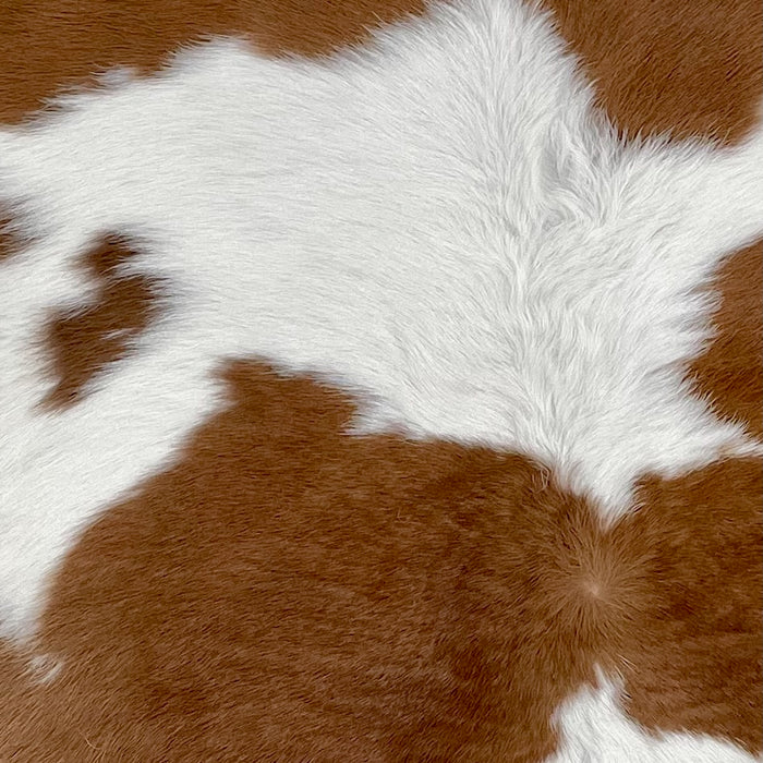 Closeup of this Calfskin, showing white with large and small, brown spots  (CALF857)