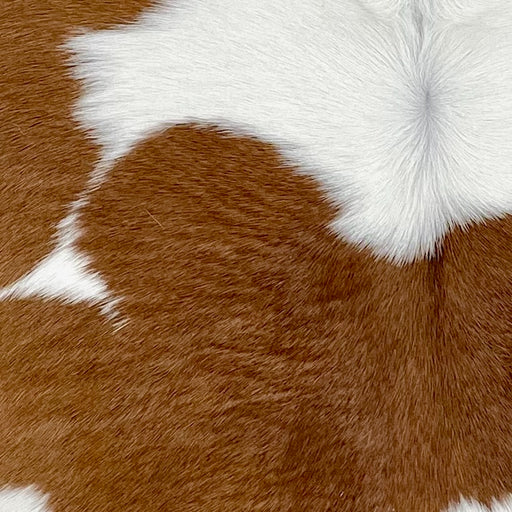 Closeup of this Calfskin, showing white and brown spots  (CALF859)