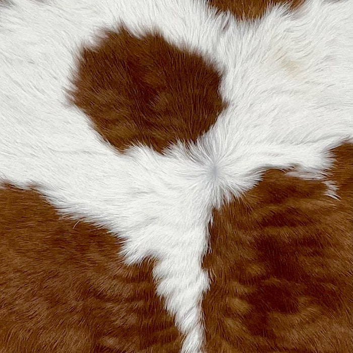 Closeup of this Calfskin, showing white with large and small, brown spots (CALF860)
